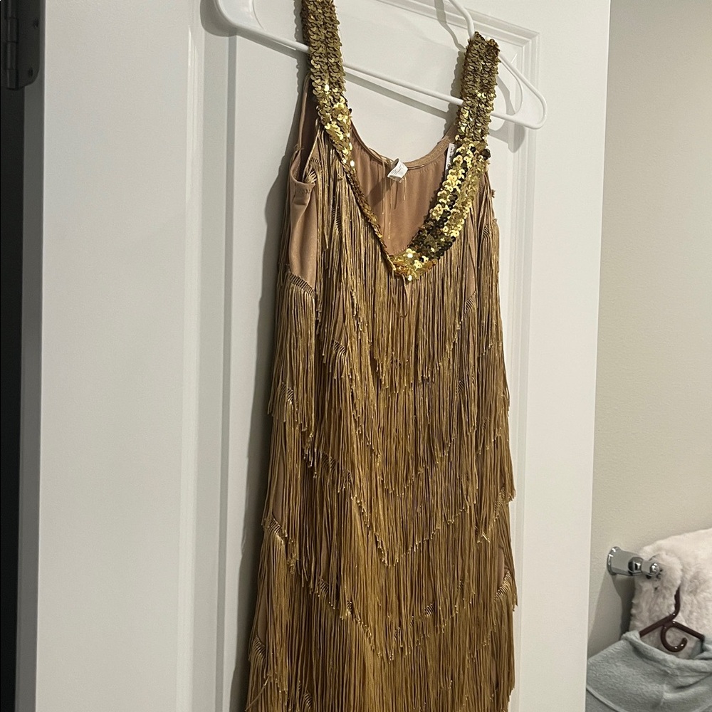Gold Sequin Fringe Dress- Great Gaspy costume